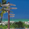 Varadero Cuba Beach Diamond Paintings