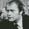 Vic Morrow Diamond Paintings