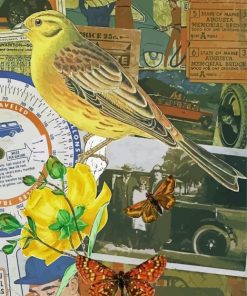 Vintage Yellowhammer Bird And Butterflies Diamond Paintings