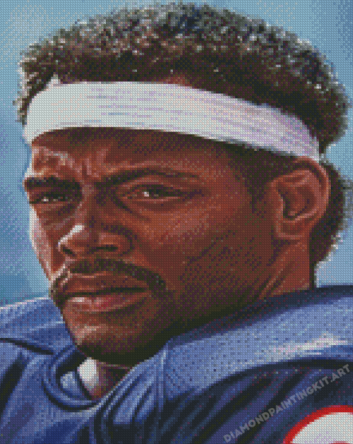 Walter Payton Diamond Paintings