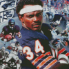 Walter Payton Player Diamond Paintings