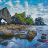 Washington Olymipc National Park Beach Diamond Paintings