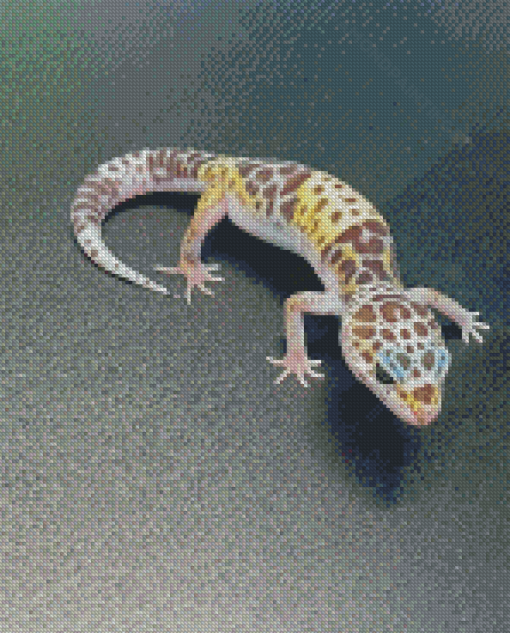 Western Desert Gecko Animal Diamond Paintings