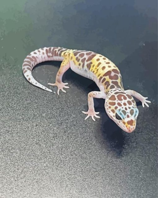 Western Desert Gecko Animal Diamond Paintings