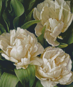 White Peony Tulips Diamond Paintings