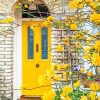 Yellow Door With Flowers Diamond Paintings