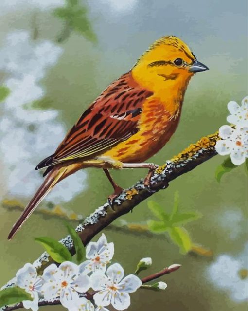 Yellowhammer On Blossom Branch Diamond Paintings