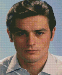 Young Alain Delon Diamond Paintings