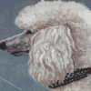 Abstract White Poodle Diamond Paintings