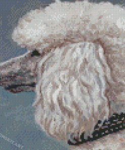 Abstract White Poodle Diamond Paintings