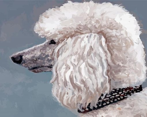 Abstract White Poodle Diamond Paintings