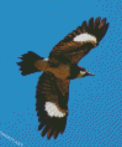 Acorn Woodpecker Flying Diamond Paintings