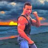 Aesthetic Van Damme Diamond Paintings