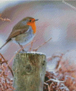 Aesthetic Winter Robin Diamond Paintings