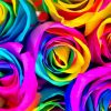 Aesthetic Rainbow Flowers Diamond Paintings