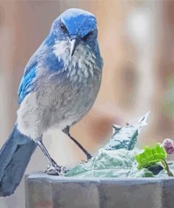 Aesthetic Scrub Jay Diamond Paintings