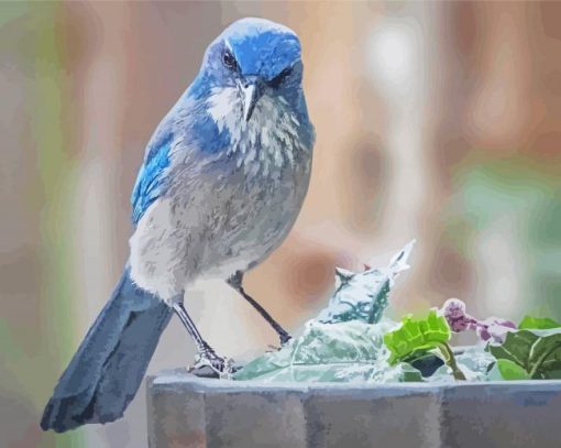 Aesthetic Scrub Jay Diamond Paintings