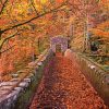 Autumn Woodland Bridge Diamond Paintings