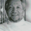 Black And White Redd Foxx Diamond Paintings