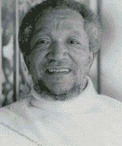 Black And White Redd Foxx Diamond Paintings