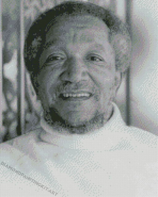 Black And White Redd Foxx Diamond Paintings