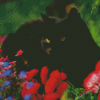 Black Cat With Red Flowers Diamond Paintings