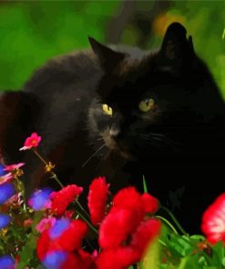 Black Cat With Red Flowers Diamond Paintings