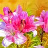 Blooming Pink Lily Flowers Diamond Paintings