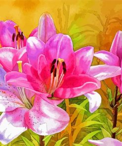 Blooming Pink Lily Flowers Diamond Paintings