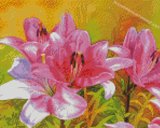 Blooming Pink Lily Flowers Diamond Paintings