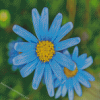 Blue Yellow Flowers Diamond Paintings