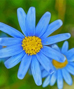 Blue Yellow Flowers Diamond Paintings