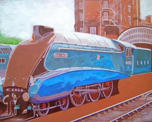 Cool A4 Mallard Diamond Paintings