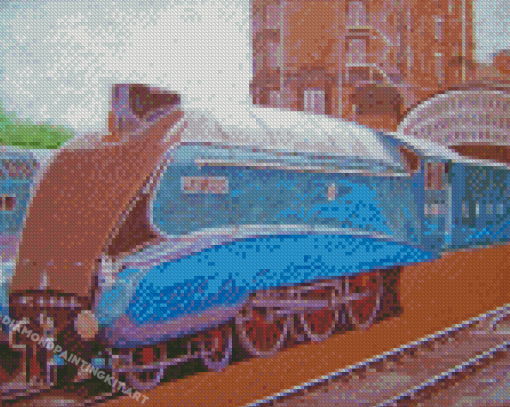 Cool A4 Mallard Diamond Paintings