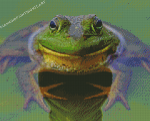 Cool Bull FrogBull Frog Diamond Paintings