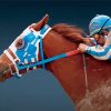 Cool Secretariat Horse Diamond Paintings