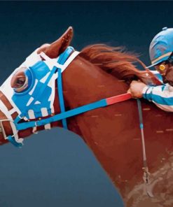 Cool Secretariat Horse Diamond Paintings