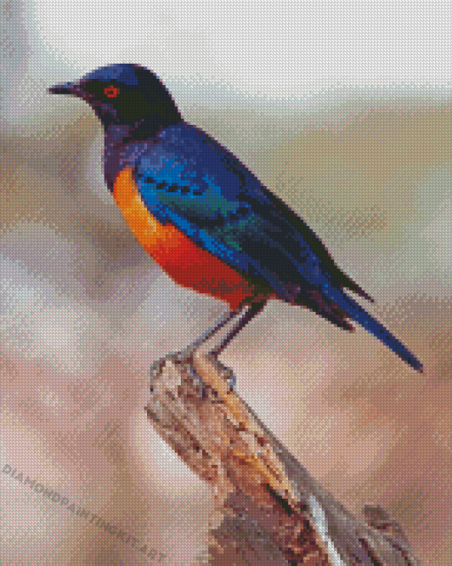 Cool Starling Diamond Paintings