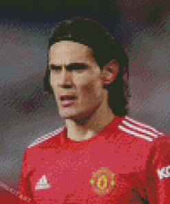 Cool Cavani Diamond Paintings