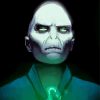 Cool Voldemort Diamond Paintings