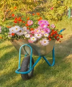 Cute Wheelbarrow With Flowers Diamond Paintings