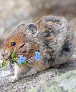 Cute American Pika Diamond Paintings