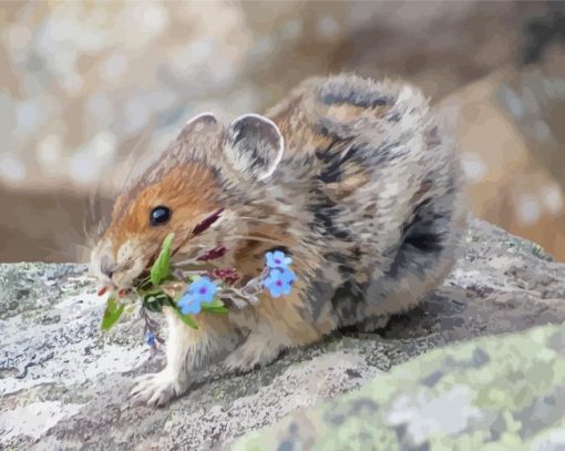 Cute American Pika Diamond Paintings