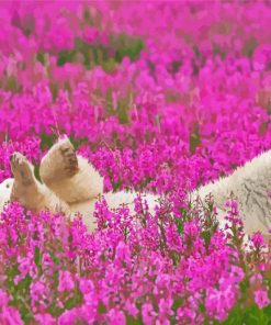 Cute Bear In Lavender Field Diamond Paintings