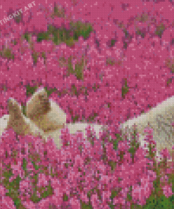 Cute Bear In Lavender Field Diamond Paintings