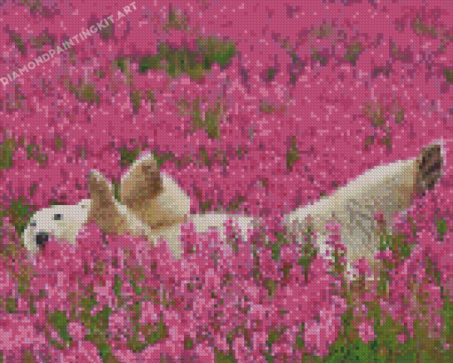 Cute Bear In Lavender Field Diamond Paintings