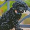 Cute Little Black Goldendoodle Diamond Paintings