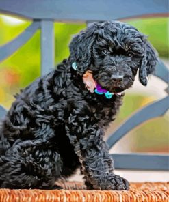 Cute Little Black Goldendoodle Diamond Paintings