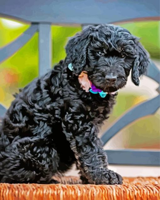 Cute Little Black Goldendoodle Diamond Paintings