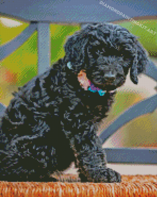 Cute Little Black Goldendoodle Diamond Paintings